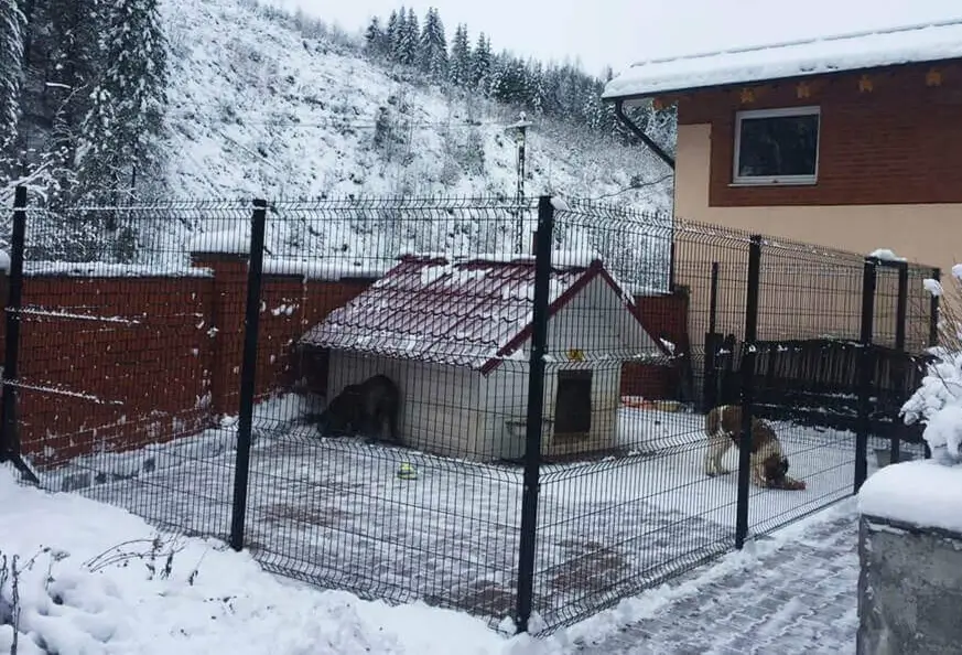 3d забор 200*55 в Казахстане